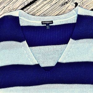 Express Navy and White Striped V Neck Sweater